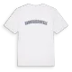 Abbotskerswell college t-shirt