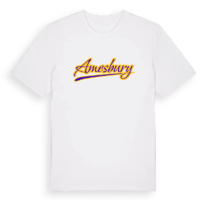 Amesbury baseball t-shirt – ekologisk bomull t-shirt från Pinshirt