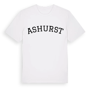 Ashurst böjd t-shirt – ekologisk bomull t-shirt från Pinshirt