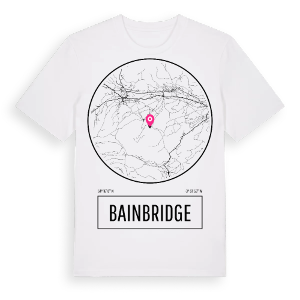 Bainbridge t-shirt – ekologisk bomull t-shirt från Pinshirt