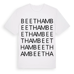 Beetham ordlek t-shirt – ekologisk bomull t-shirt från Pinshirt