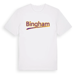 Bingham baseball t-shirt – ekologisk bomull t-shirt från Pinshirt