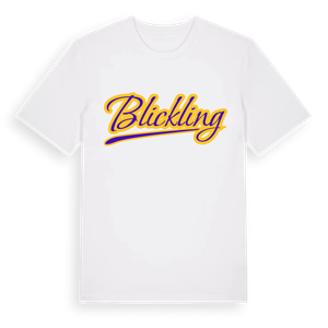 Blickling baseball t-shirt – ekologisk bomull t-shirt från Pinshirt