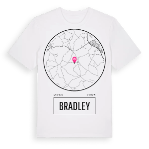 Bradley t-shirt – ekologisk bomull t-shirt från Pinshirt