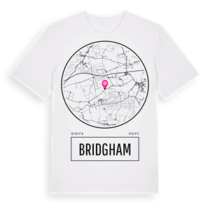 Bridgham t-shirt – ekologisk bomull t-shirt från Pinshirt