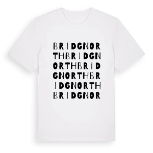 Bridgnorth ordlek t-shirt – ekologisk bomull t-shirt från Pinshirt