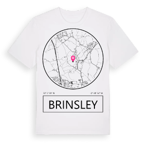 Brinsley t-shirt – ekologisk bomull t-shirt från Pinshirt