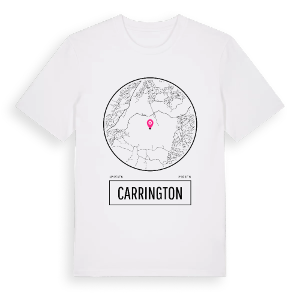 Carrington t-shirt – ekologisk bomull t-shirt från Pinshirt