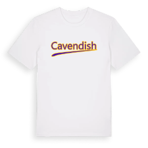 Cavendish baseball t-shirt – ekologisk bomull t-shirt från Pinshirt