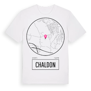 Chaldon t-shirt – ekologisk bomull t-shirt från Pinshirt