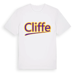 Cliffe baseball t-shirt – ekologisk bomull t-shirt från Pinshirt