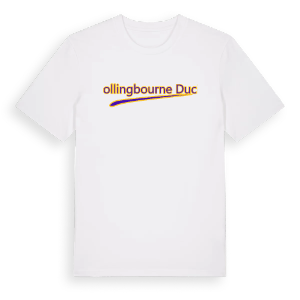 Collingbourne Ducis baseball t-shirt – ekologisk bomull t-shirt från Pinshirt