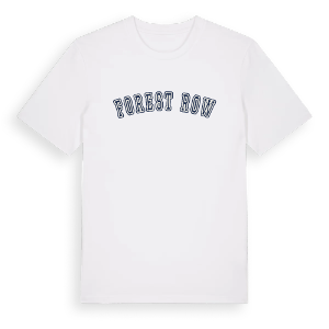 Forest Row college t-shirt – ekologisk bomull t-shirt från Pinshirt
