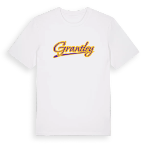 Grantley baseball t-shirt – ekologisk bomull t-shirt från Pinshirt