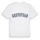 Greystead college t-shirt