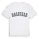 Halstead college t-shirt