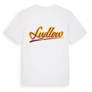 Ludlow baseball t-shirt – ekologisk bomull t-shirt från Pinshirt