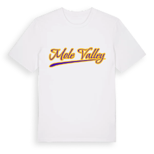 Mole Valley baseball t-shirt – ekologisk bomull t-shirt från Pinshirt