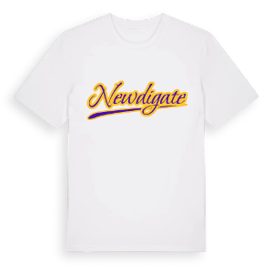 Newdigate baseball t-shirt – ekologisk bomull t-shirt från Pinshirt