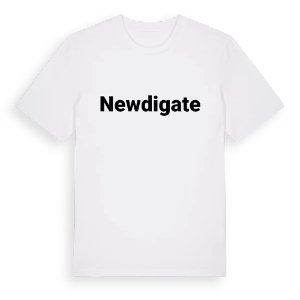 Newdigate fetstil t-shirt – ekologisk bomull t-shirt från Pinshirt