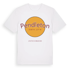 Pendleton cirkel t-shirt – ekologisk bomull t-shirt från Pinshirt
