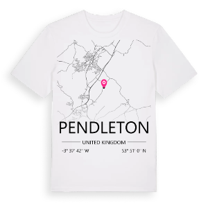 Pendleton karta t-shirt – ekologisk bomull t-shirt från Pinshirt