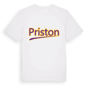 Priston baseball t-shirt – ekologisk bomull t-shirt från Pinshirt