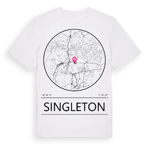 Singleton t-shirt – ekologisk bomull t-shirt från Pinshirt