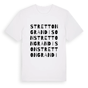 Stretton Grandison ordlek t-shirt – ekologisk bomull t-shirt från Pinshirt