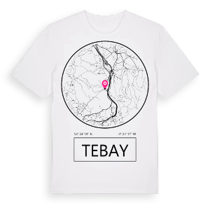 Tebay t-shirt – ekologisk bomull t-shirt från Pinshirt