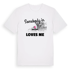 Någon i Wallasey älskar mig t-shirt – ekologisk bomull t-shirt från Pinshirt