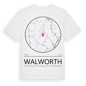 Walworth t-shirt – ekologisk bomull t-shirt från Pinshirt
