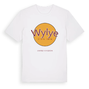 Wylye cirkel t-shirt – ekologisk bomull t-shirt från Pinshirt