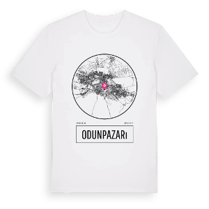 Odunpazarı t-shirt – ekologisk bomull t-shirt från Pinshirt
