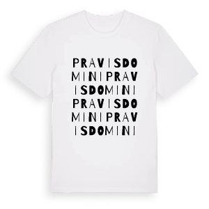 Pravisdomini ordlek t-shirt – ekologisk bomull t-shirt från Pinshirt