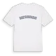 Echtenerbrug college t-shirt