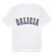 Galicia college t-shirt