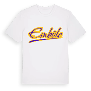 Emböle baseball t-shirt – ekologisk bomull t-shirt från Pinshirt