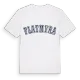 Flatmyra college t-shirt