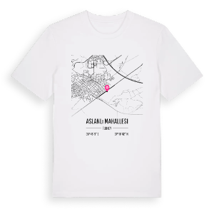 Aslanlı Mahallesi karta t-shirt – ekologisk bomull t-shirt från Pinshirt
