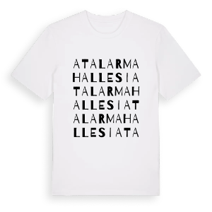 Atalar Mahallesi ordlek t-shirt – ekologisk bomull t-shirt från Pinshirt
