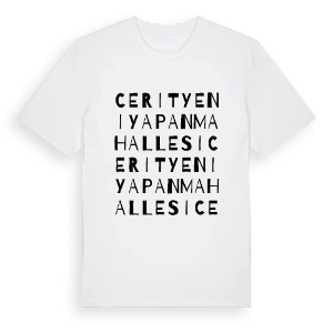 Cerityeniyapan Mahallesi ordlek t-shirt – ekologisk bomull t-shirt från Pinshirt