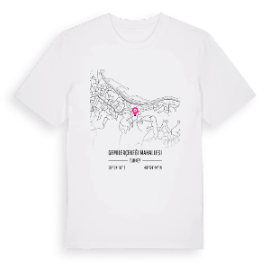 Gemilerçekeği Mahallesi karta t-shirt – ekologisk bomull t-shirt från Pinshirt