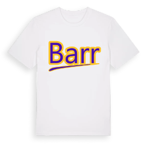 Barr baseball t-shirt – ekologisk bomull t-shirt från Pinshirt