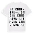 Brienne-sur-Aisne ordlek t-shirt