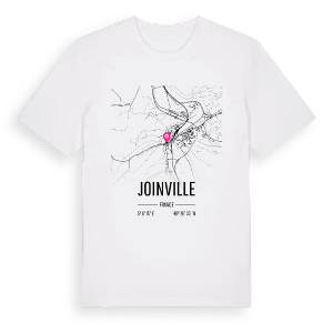 Joinville karta t-shirt – ekologisk bomull t-shirt från Pinshirt