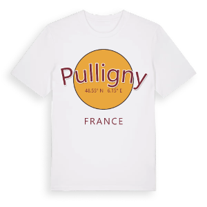 Pulligny cirkel t-shirt – ekologisk bomull t-shirt från Pinshirt