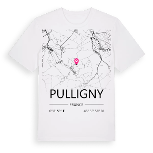Pulligny karta t-shirt – ekologisk bomull t-shirt från Pinshirt