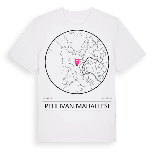 Pehlivan Mahallesi t-shirt – ekologisk bomull t-shirt från Pinshirt