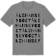 Mid Heather Gray t-shirt med Åkehansbygget ordlek t-shirt